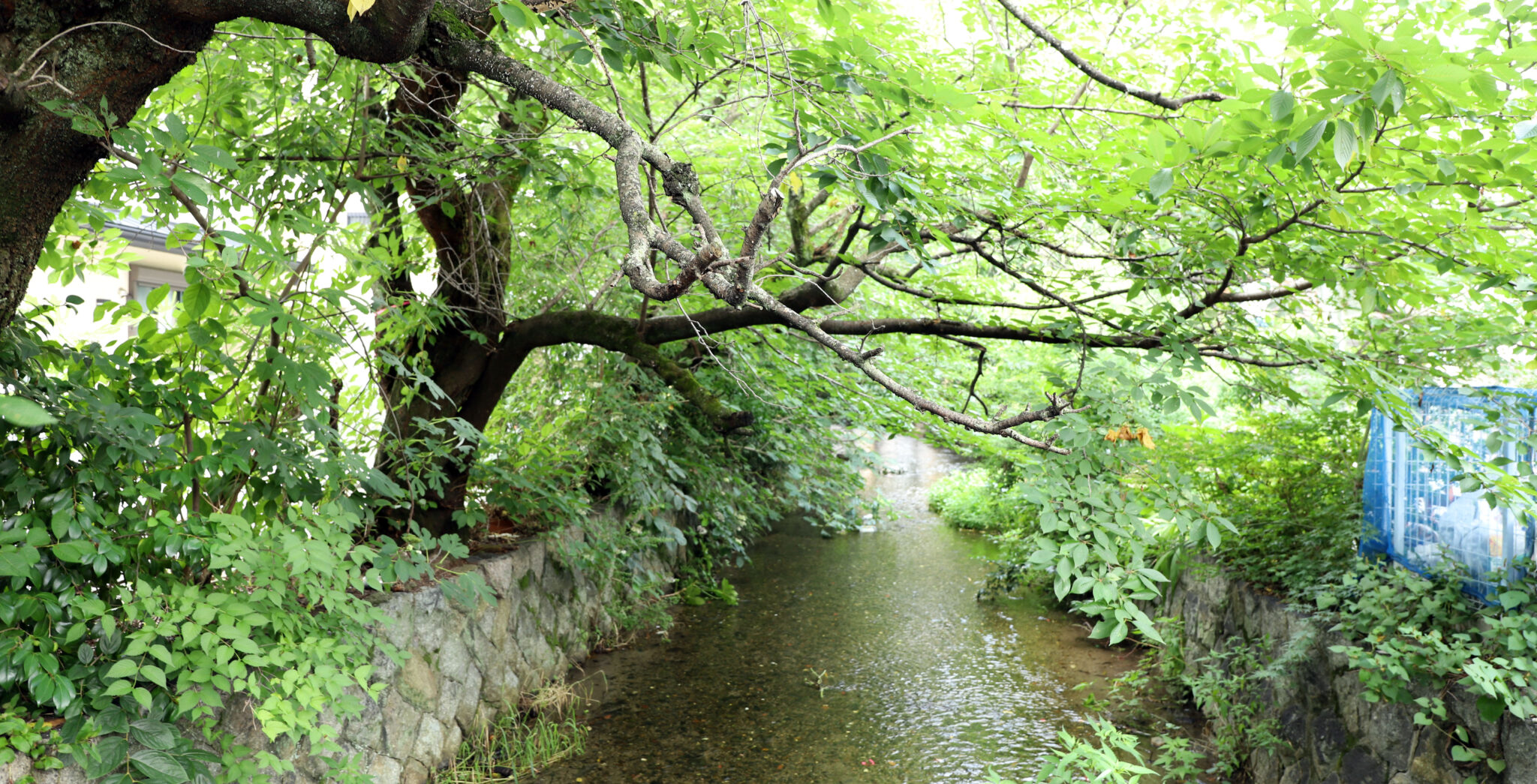 IMG_6592 拷贝